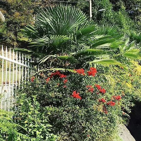 Lejlighed Les De La Maison Bleue D'estialescq *