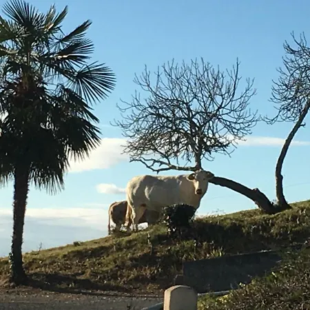 Lejlighed Les De La Maison Bleue D'estialescq *