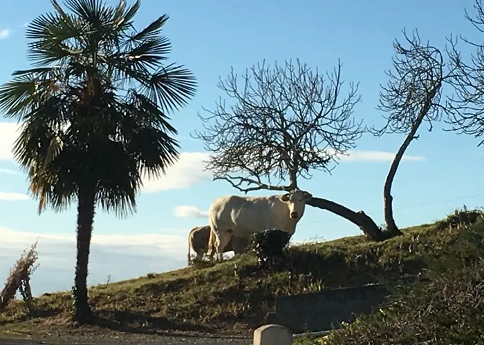 Lägenhet Les De La Maison Bleue D'estialescq *